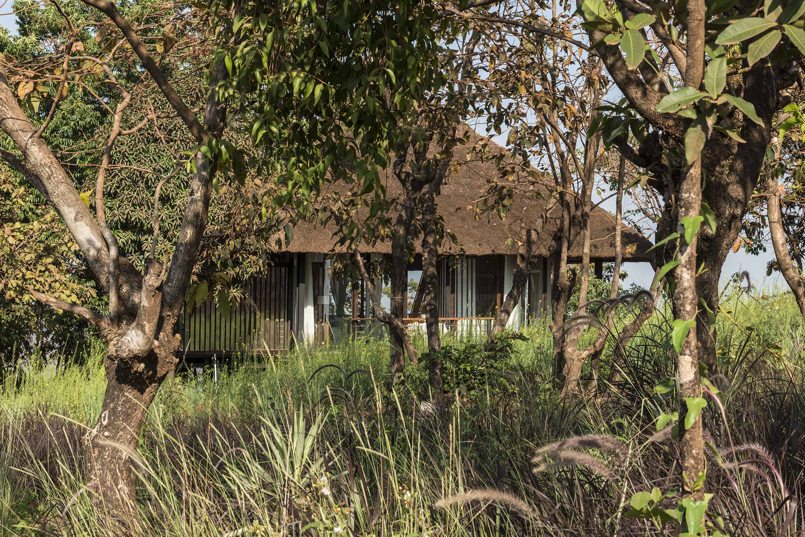 Farmhouse nestled in a lush green setting with a lot of existing trees