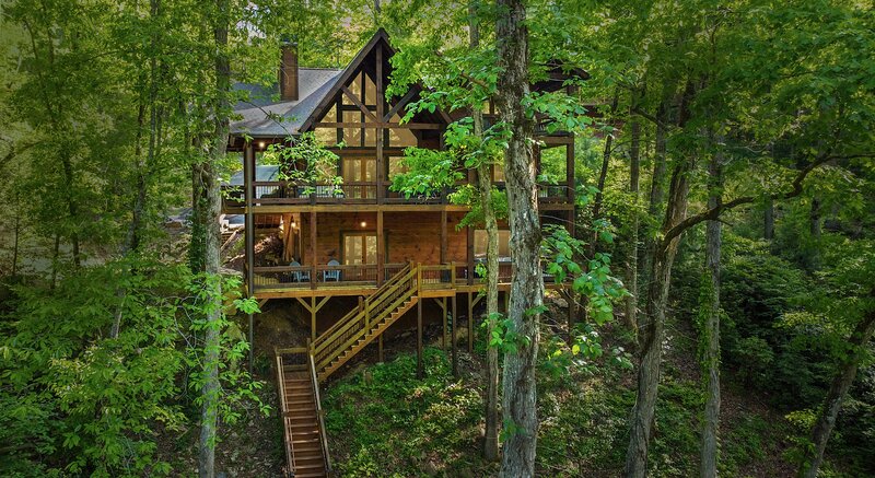 A tree house situated in the serenity of a forest