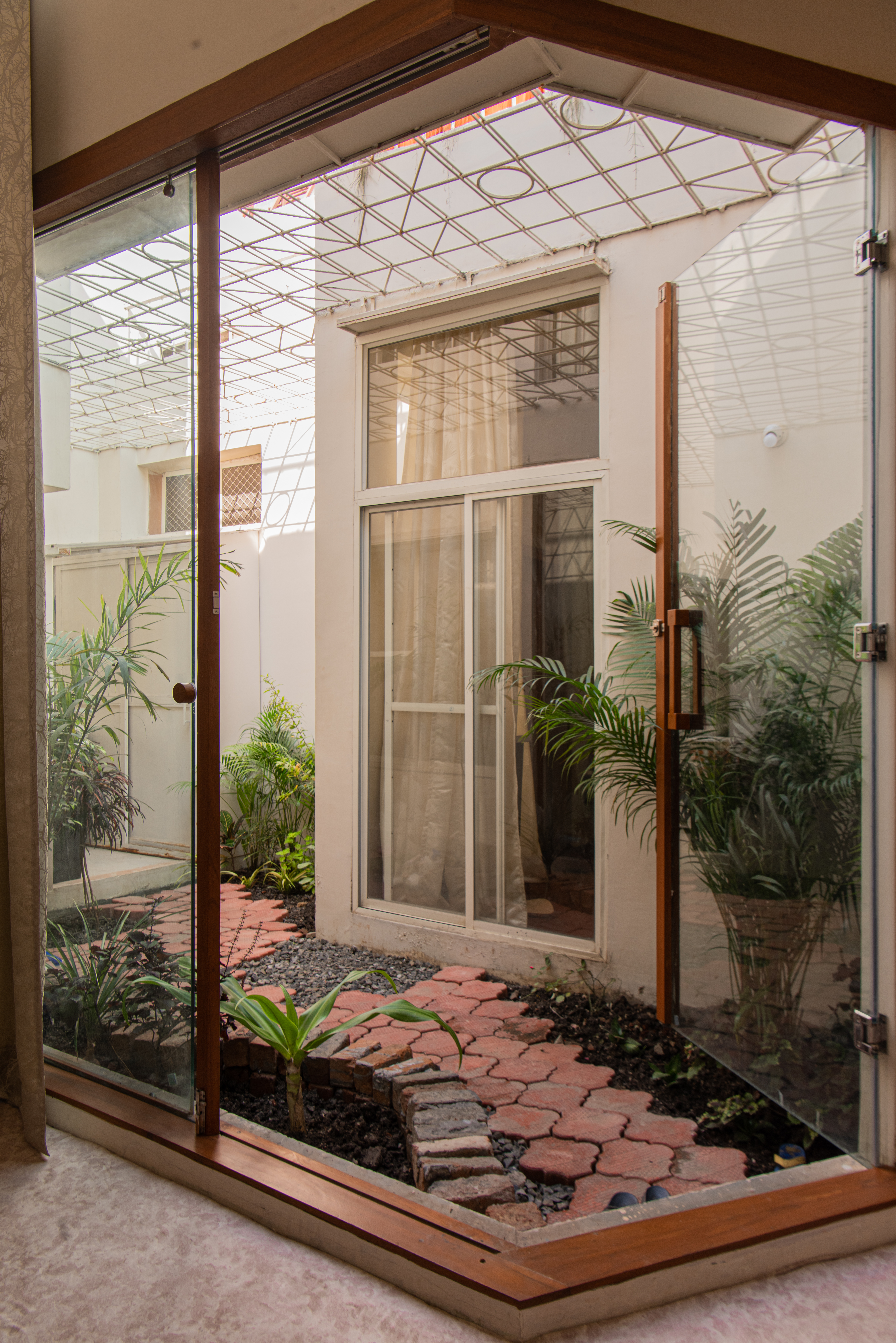 Tiny Courtyard with a lot of plants - Aangan - Dhool Design Studio